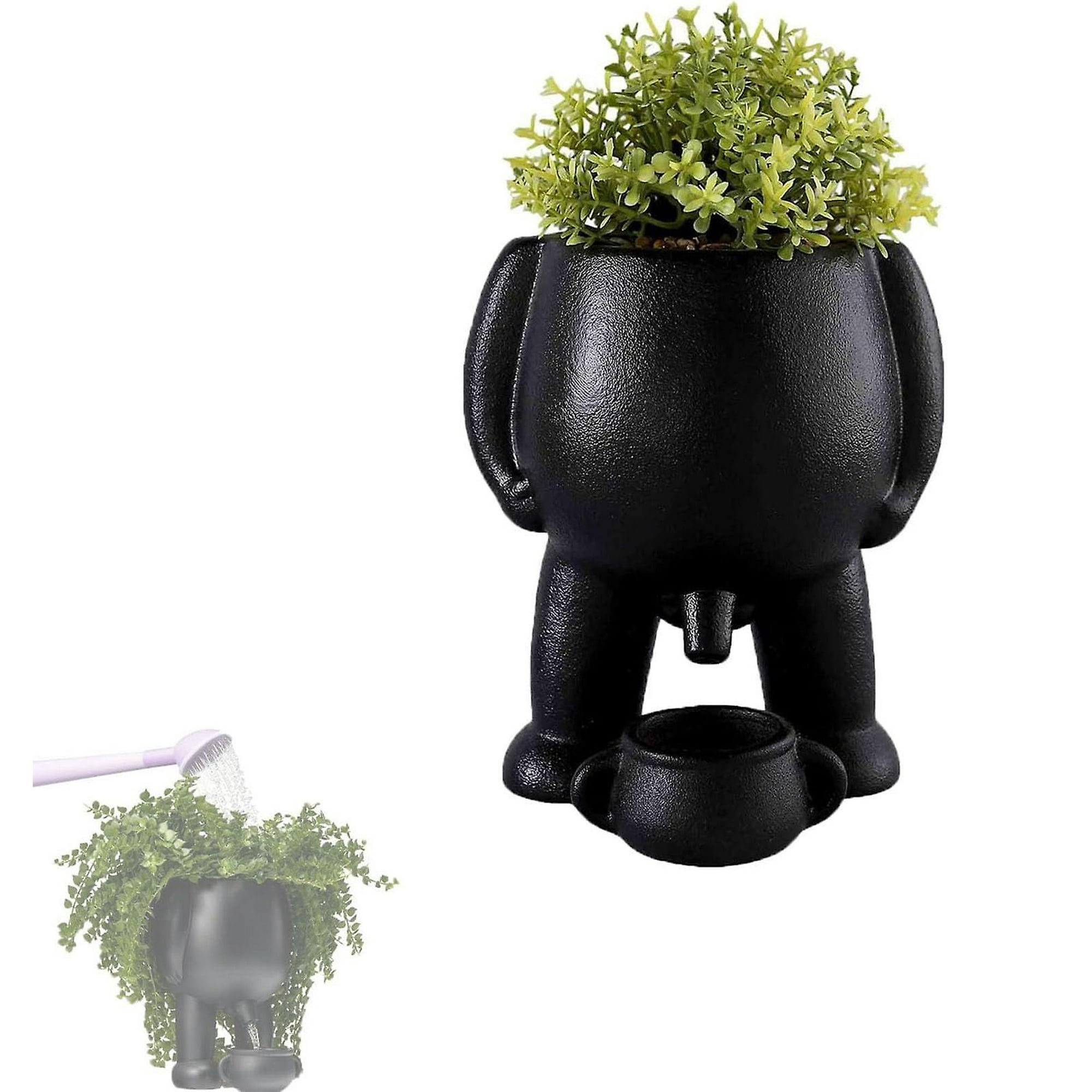 terracotta pot planter Circular Lemon Planter | Handmade Terra Cotta