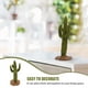 thumbnail image 4 of 1 unid simulado micro cactus adorno mesa de arena cactus modelo ornamento decoración del hogar, 4 of 7