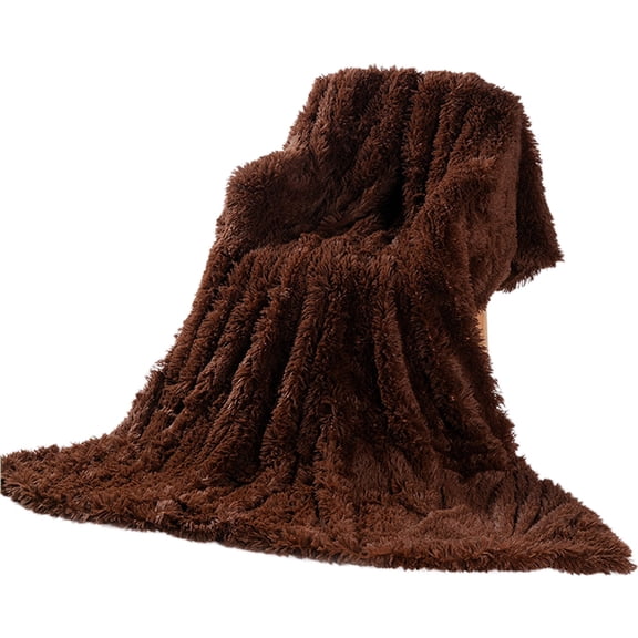 Fleece Blanket Super Soft Fluffy Faux Fur Throw Blanket for Couch Fuzzy Sherpa Fleece Cozy Warm Gifts for Women Room Decor Christmas Plush Thick Throw for Men Minky Teen Gifts 30"x50"