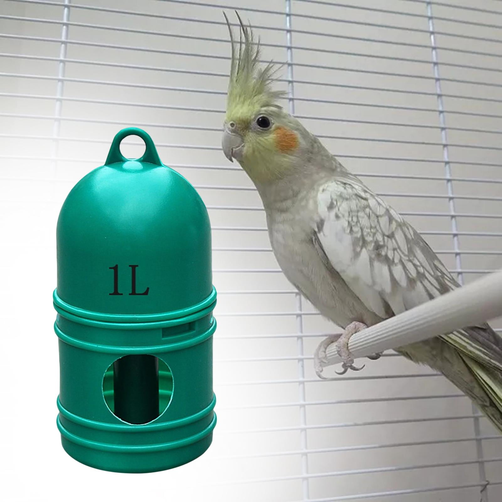 lionlar 1L Pigeon Water Dispenser Creative Bird Drinker Water Pot