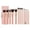 pink, variant on Travel Makeup Brush Set 14pcs Makeup Brushes Foundation Powder Contour Blush Cosmetic Eye Brush Sets With Holder - white