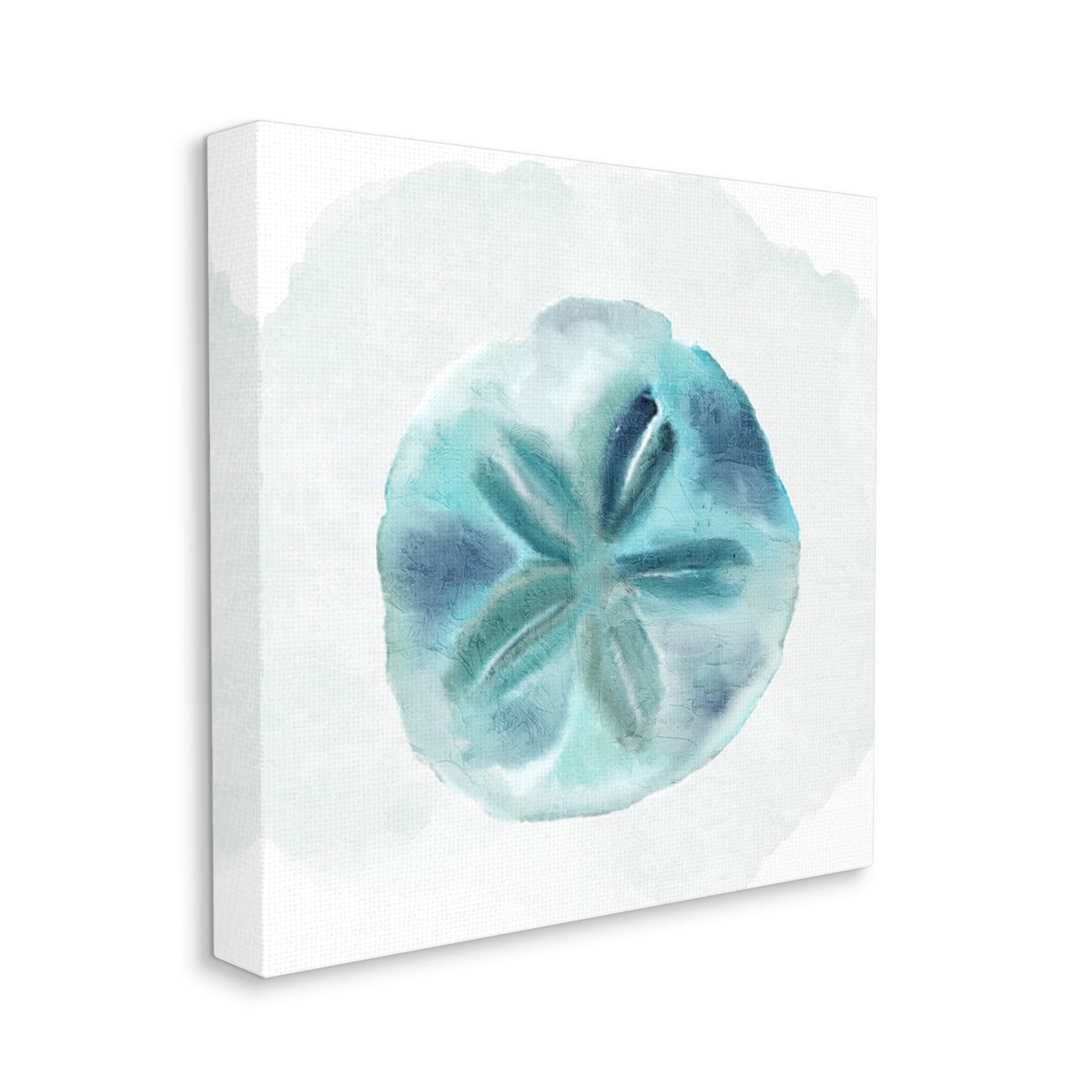 Stupell Industries Beachy Blue Sand Dollar Graphic Art Gallery Wrapped Canvas Print Wall Art, Design by Kim Allen