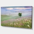 thumbnail image 2 of Foggy Summer Morning in Mountains - Large Landscape Canvas Art Print, 2 of 3