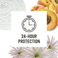thumbnail image 4 of Schmidt's Women's and Men's Aluminum-Free Vegan Deodorant, Fresh Rain & Birch, 2.65 oz, 4 of 6