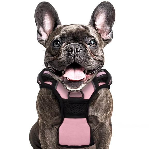 Buddy's Best Dog Harness, No-Pull Pet Harness with 2 Leash Clips, Adjustable Soft Padded Reflective Safety Pet Harness for No-Choke Pet Training (Pink, Medium)