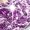 Purple A, variant on MXIEZI Flower Girls Princess Shoes Toddler Bowknot Dress Shoes Kids Heels Performance Sequins Flats Shoes