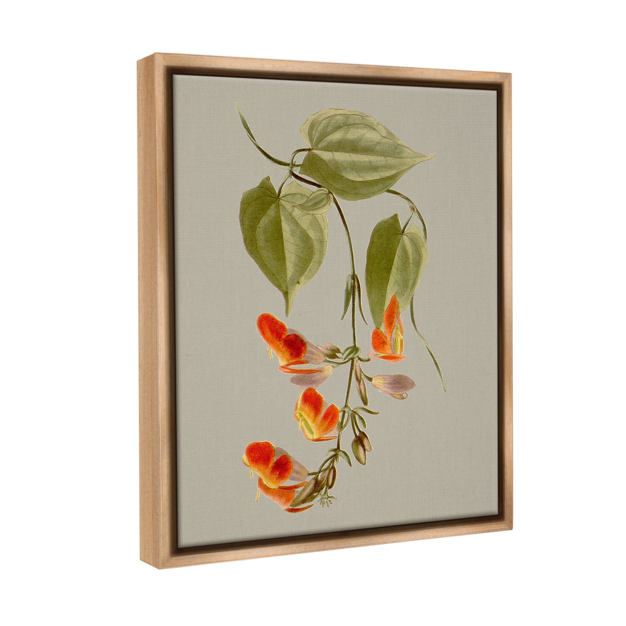 Stupell Industries Vine with Red Blossoms Botanical & Floral Painting Brown Floater Framed Canvas Art Print Wall Art, 17 x 21