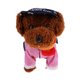 thumbnail image 2 of Juguete eléctrico de felpa Caminar y grabar Perro Animal Niños Juguete de Navidad Regalo A marrón Sunnimix Perro de juguete de peluche eléctrico, 2 of 8