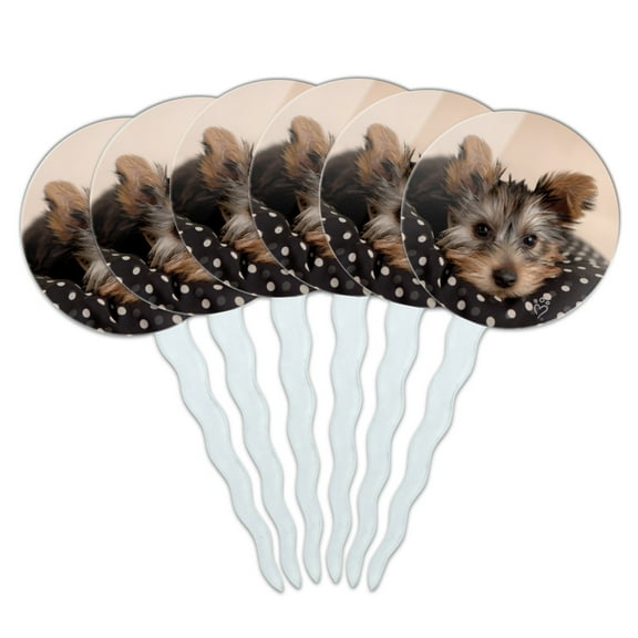 Yorkie Yorshire Terrier Puppy Dog on a Spotted Cushion Cupcake Picks Toppers Decoration Set of 6