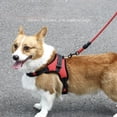 thumbnail image 4 of Gostoto Pet Dog Adjustable Walking Harness Saddle Harness for Medium And Large Dog Pet Explosion-Proof Dog Supplies, 4 of 7
