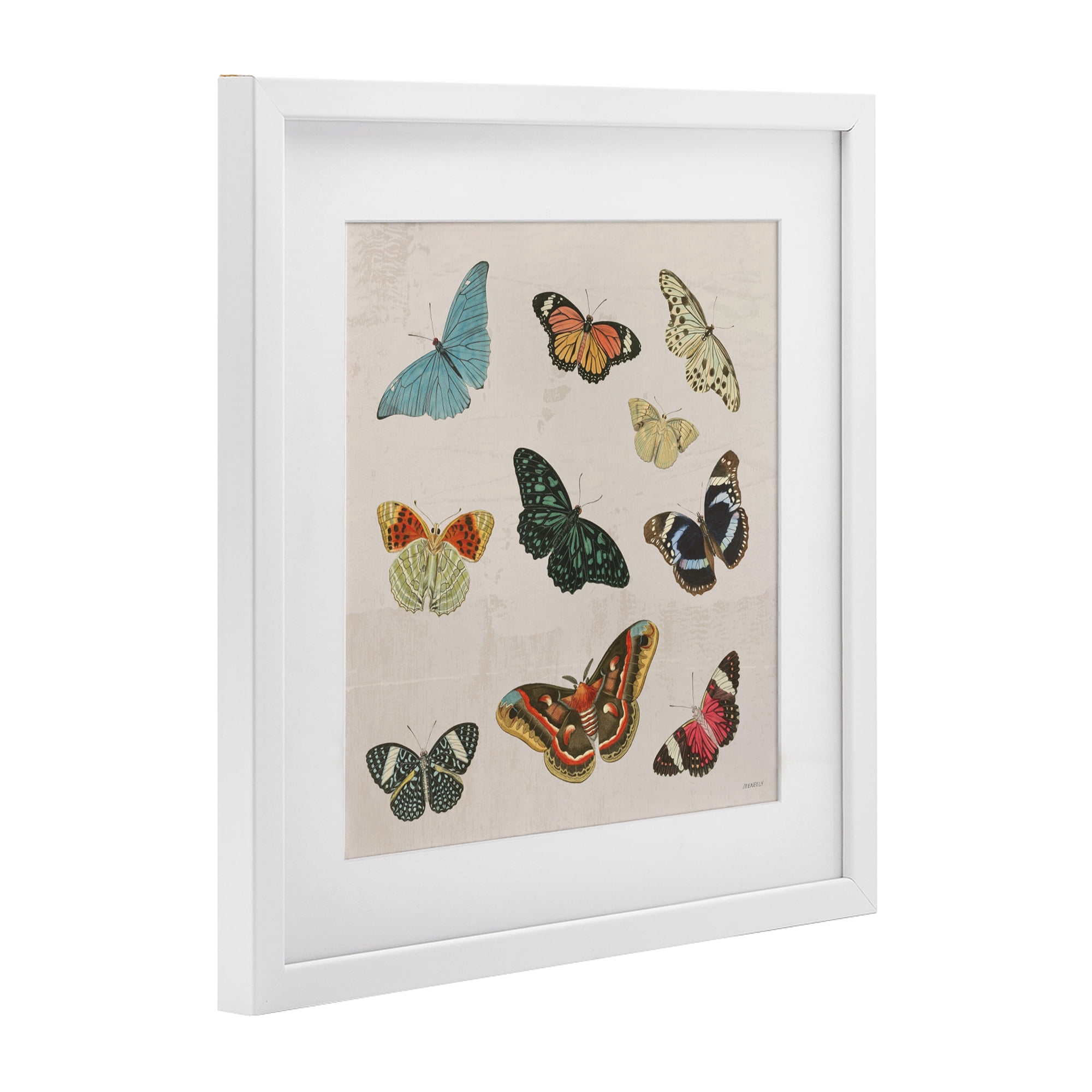 Stupell Industries Vintage Butterfly Flight White Framed Print Under Glass, design by Dan Meneely