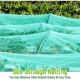 thumbnail image 4 of Garden Barrier Netting Tutuviw 6.6x10ft Plant Extra Fine Mesh Covers,Sun Net,Green Sunblock Mesh,Shade Protection Netting for Vegetable Fruits Flowers Row Cover Raised Bed Screen Against Birds Animal, 4 of 7