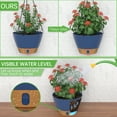 thumbnail image 5 of FIASON 2 Pack Plastic 12 Inch Blue Large Hanging Planter for Indoor & Outdoor Plants, Self Watering Hanging Baskets with Visual Reservoir, Drainage Holes and Plant Hanger, 5 of 6