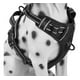 thumbnail image 1 of Wolfi Arnés Ajustable Para Perro Con Chaleco Acolchonado Xl esquí esquí Gafas de esquí, 1 of 5