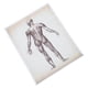 thumbnail image 4 of Póster de anatomía humana. Póster de enseñanza de anatomía. Decoración para colgar en la pared. Póster de anatomía., 4 of 7
