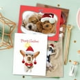 thumbnail image 6 of The Best Card Company 36 Assorted Christmas Note Cards Boxed Set 4 x 5.12 Inch with Envelopes (18 Designs, 2 Each) Holiday Dogs AM7847XSG-B2x18, 6 of 6