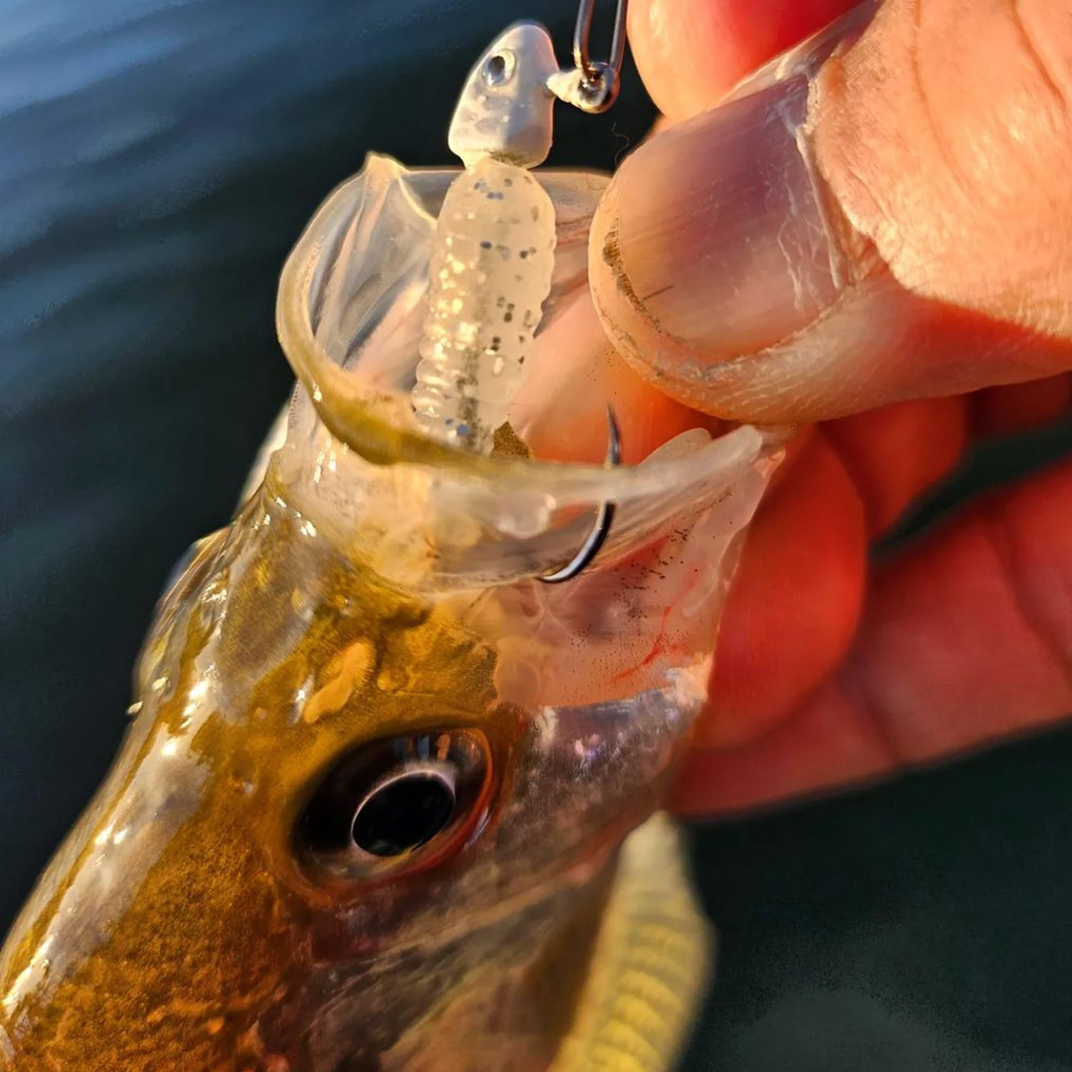 Fathead Minnow Style Jig Head,Crappie Jig Heads 25pc/case Jig Heads Hook Lure Fishing Jigs Heads for Crappie, Trout, Perch, and Bass Fishing.