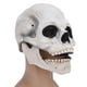 thumbnail image 1 of Máscara de calavera, máscara de calavera de Halloween, máscara de látex completa, máscara de disfraz, características mejoradas, 1 of 8