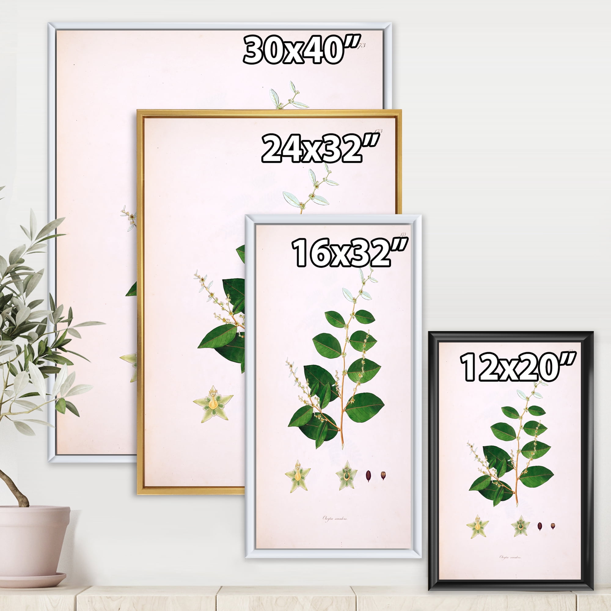 Designart 'Ancient Plant Life XVI' Farmhouse Framed Canvas Wall Art Print