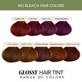 thumbnail image 5 of Paradyes No Bleach Berry Plum Glossy Hair Tint, 5 of 9