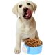 thumbnail image 3 of Cuenco de comida para perros y gatos, alimentador de mascotas de acero inoxidable, cuenco colgante 2 en 1, soporte de jaula para animales pequeños, perro, gato, conejo, pájaro, azul, 3 of 5