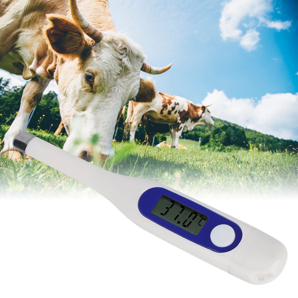 LAFGUR LCD Animal Thermometer,Veterinary Electronic Thermometer LCD Digital Animal Thermometer