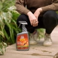 thumbnail image 3 of Wilson® ANT OUT® Ant Killer, 3 of 4