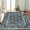 Dark Grey, variant on Area Rug for Living Room, Machine Washable Boho Rug for Bedroom, Low Pile Lightweight Thin Floral Vintage Distress Print Pattern Carpet for Dining Room
