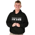thumbnail image 4 of Course Im Right Im Bob Men's Big & Tall Graphic Hoodie Brisco Brands 2X, 4 of 5