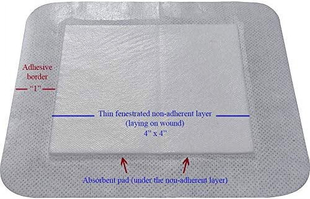 Bordered Gauze Island Dressing 6" x 6" Sterile Latex Free 30 Per Box Wound Dressing by Areza Medical 30 Count (Pack of 1)