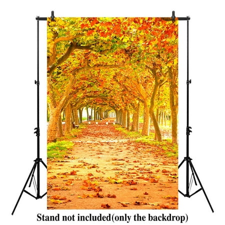 Image of 5x7ft Autumn pathway landscape photography backdrop fall forest nature street ride leaf background photo Studio Prop Drops for newborn baby shower kids