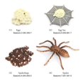 thumbnail image 4 of Yinanstore Simulation d'Animaux, Cycle de Vie d'Arthropode, Figurines d'Action Miniatures, Jouets Éducatifs Scientifiques, 4 of 8