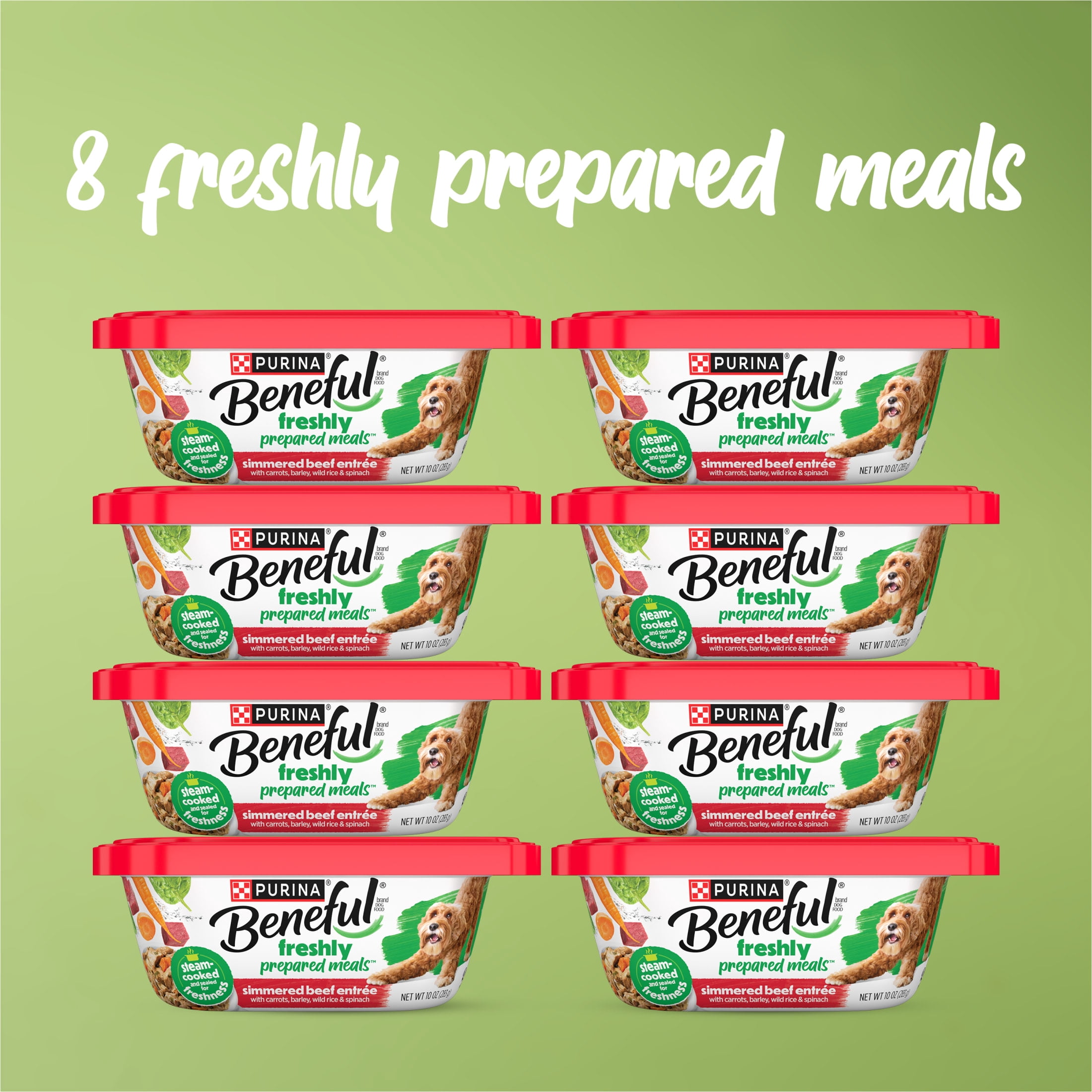 Purina Beneful Wet Dog Food Freshly Prepared Meals, Dog Food Fresh With Gravy, 10 oz, 8 Pack