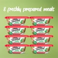 thumbnail image 4 of Purina Beneful Wet Dog Food Freshly Prepared Meals, Dog Food Fresh With Gravy, 10 oz, 8 Pack, 4 of 12