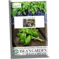 thumbnail image 4 of Dark Opal Sweet Basil Herb Seeds, 500 Heirloom Seeds Per Packet, Non GMO Seeds, 4 of 6