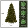 thumbnail image 3 of National Tree Company 7.5 ft Pre-Lit Dunhill Fir Artificial Christmas Tree, 700 LED Lights, 2,514 Tips, PowerConnect, Foot Pedal, 10 Light Functions, Includes Stand, Green, 3 of 8