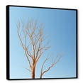 thumbnail image 2 of Designart "Azure Timber Lineage Snapshot I" Landscape Trees Floater Framed Canvas Prints, 2 of 5