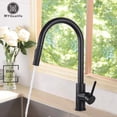 thumbnail image 2 of Grifo de cocina negro con envío gratis, mezclador extraíble de dos funciones con un solo mango, grifos de agua fría y caliente montados en cubierta Tan Jianjun unisex, 2 of 2