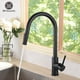 thumbnail image 2 of Grifo de cocina negro con envío gratis, mezclador extraíble de dos funciones con un solo mango, grifos de agua fría y caliente montados en cubierta Tan Jianjun unisex, 2 of 2