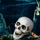 thumbnail image 5 of Halloween Skeletons Plastic Realistic Fake Simulation Human Skull HeadBone Model Halloween Prop Realistic Mini Skeleton Spooky Halloween Decoration, 5 of 5