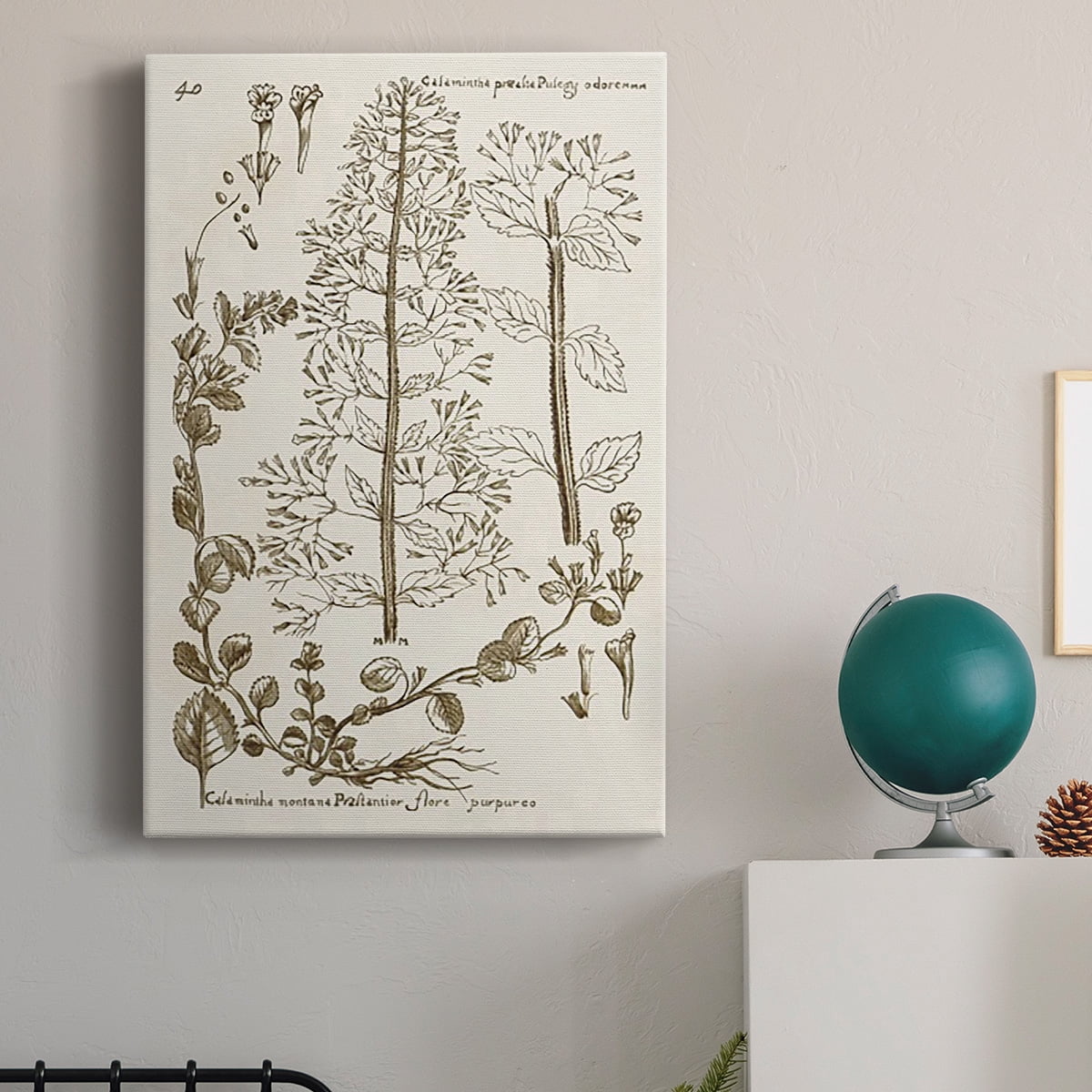 Sepia Botanical Journal V Premium Gallery Wrapped Canvas - Ready to Hang