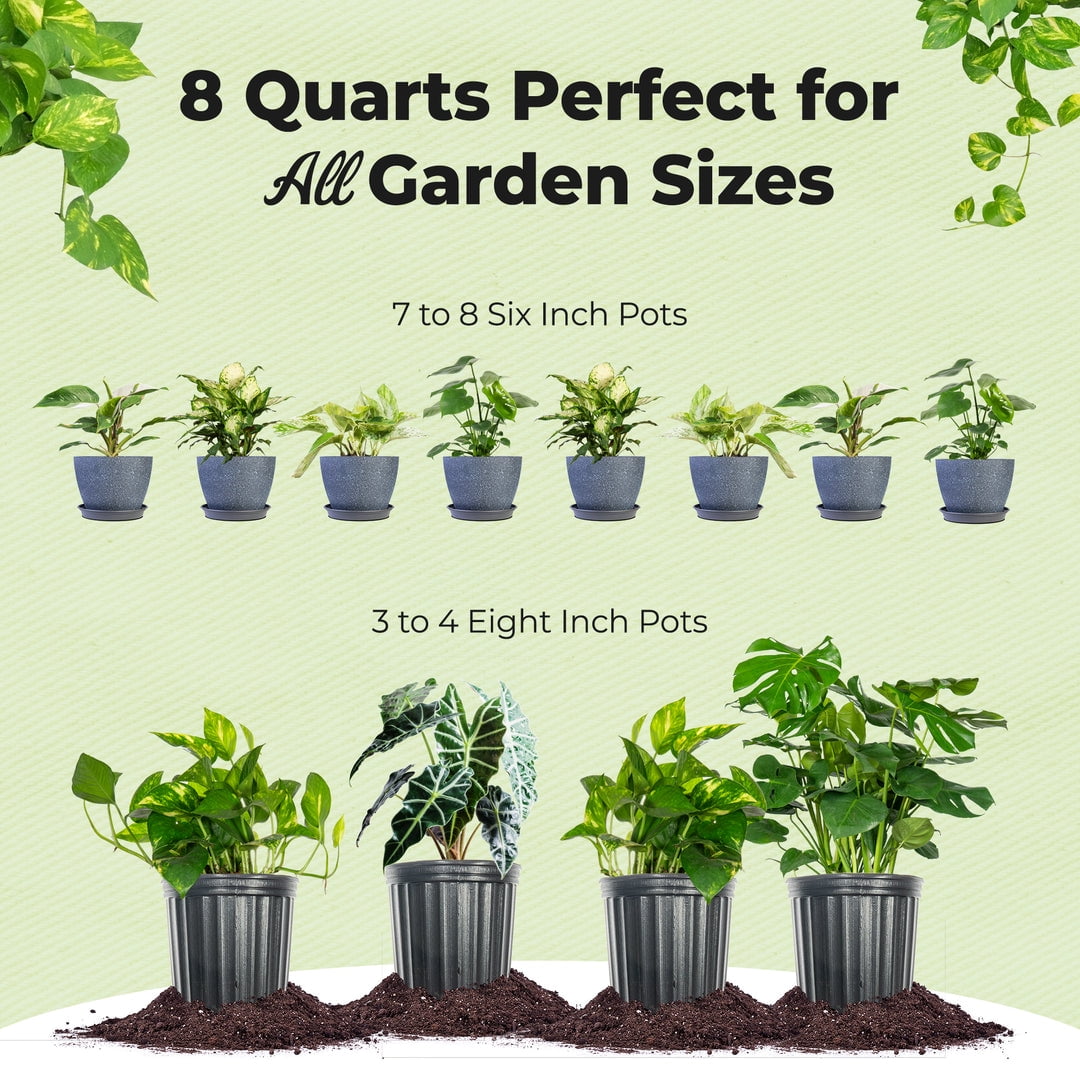 Organic Aroid Potting Mix in 8qt. Bag - Chunky Soil For Indoor House Plants
