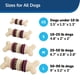 thumbnail image 3 of Juguete Masticable PetSafe Bristle Bone para Perros, 3 of 6
