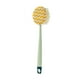 thumbnail image 2 of Cepillo de ducha de mango largo | Cepillo de espalda de doble cara para hombres y mujeres | Cerdas suaves de nailon para una exfoliación suave | Cepillo corporal verde y rosa | Cepillo de baño de 35, 2 of 6