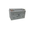 thumbnail image 1 of MV Agusta F4 Battery Replacement (2005-2013), 1 of 3