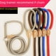 thumbnail image 5 of Cadena de tracción antidisturbios con punzón P, cuerda de nailon cosida de cuero para perros, cadena para perros, cinturón de tracción para perros de entrenamiento grueso y alargado, cuerda P, 5 of 6
