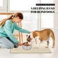 thumbnail image 7 of AVERYDAY 100% Waterproof Thicker Silicone Dog Food Mat, 0.63'' Raised Edge Bowl Mat for Food & Water, Non Slip Pet Feeding Placemat for Messy Drinkers, Perfect for Large Medium Small Breeds, 23"x16", 7 of 7