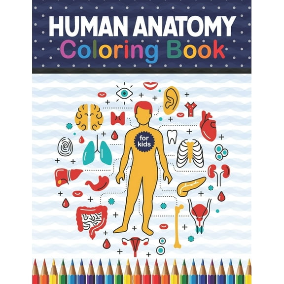 Human Anatomy Coloring Book For Kids