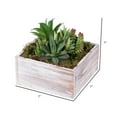 thumbnail image 3 of Vickerman Vickerman Jardinière Carrée Blanche pour Arrangement Succulent 7 Pouces, 3 of 3