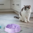thumbnail image 5 of Slow Feed Dog Bowls Gulping Pet Food Dish Puzzle Feeder for Cats and Dogs Durable Mealtime Solution, 5 of 8